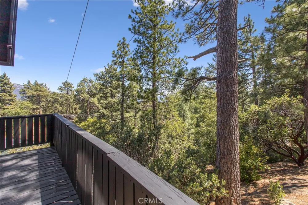 24875 Marion Ridge Drive Idyllwild, CA 92549