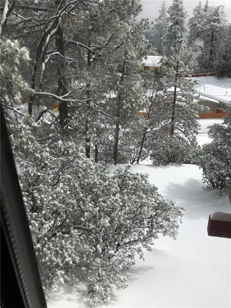 24875 Marion Ridge Drive Idyllwild, CA 92549