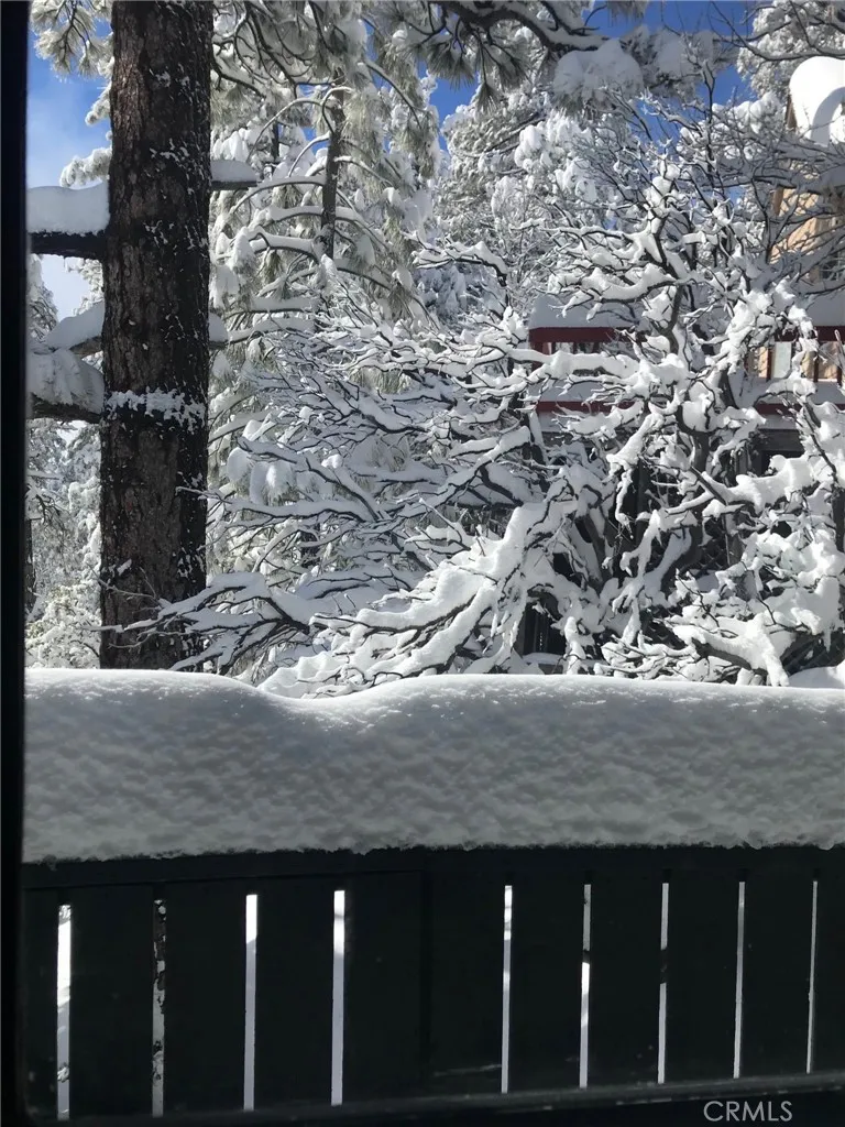 24875 Marion Ridge Drive Idyllwild, CA 92549