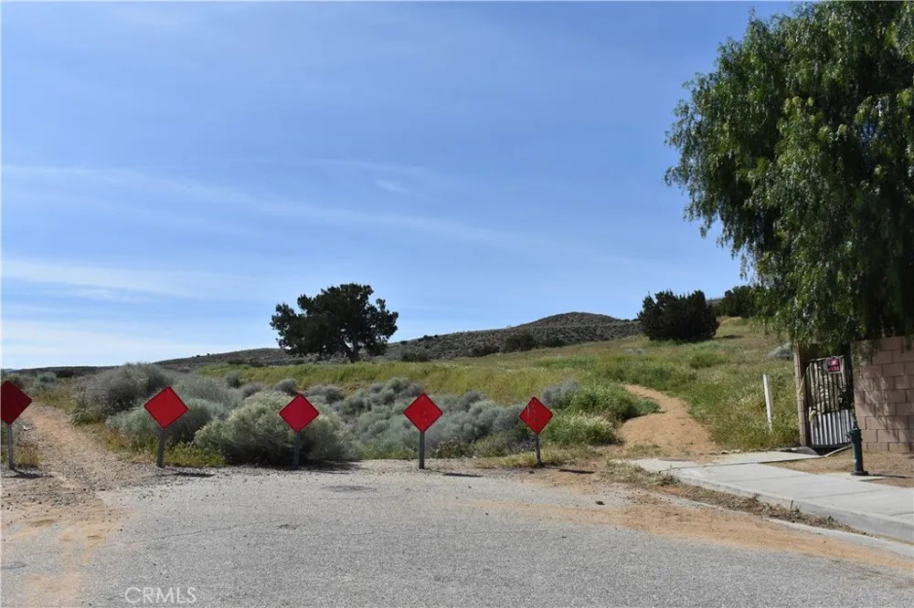 39768 Registry Palmdale, CA 93551
