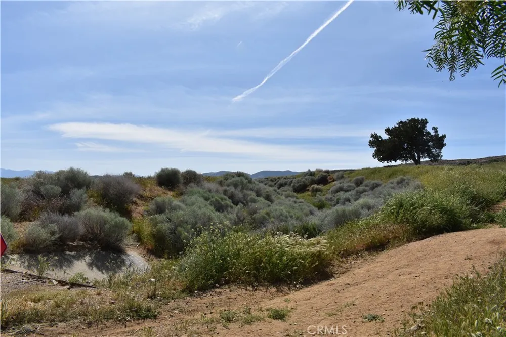 39768 Registry Palmdale, CA 93551