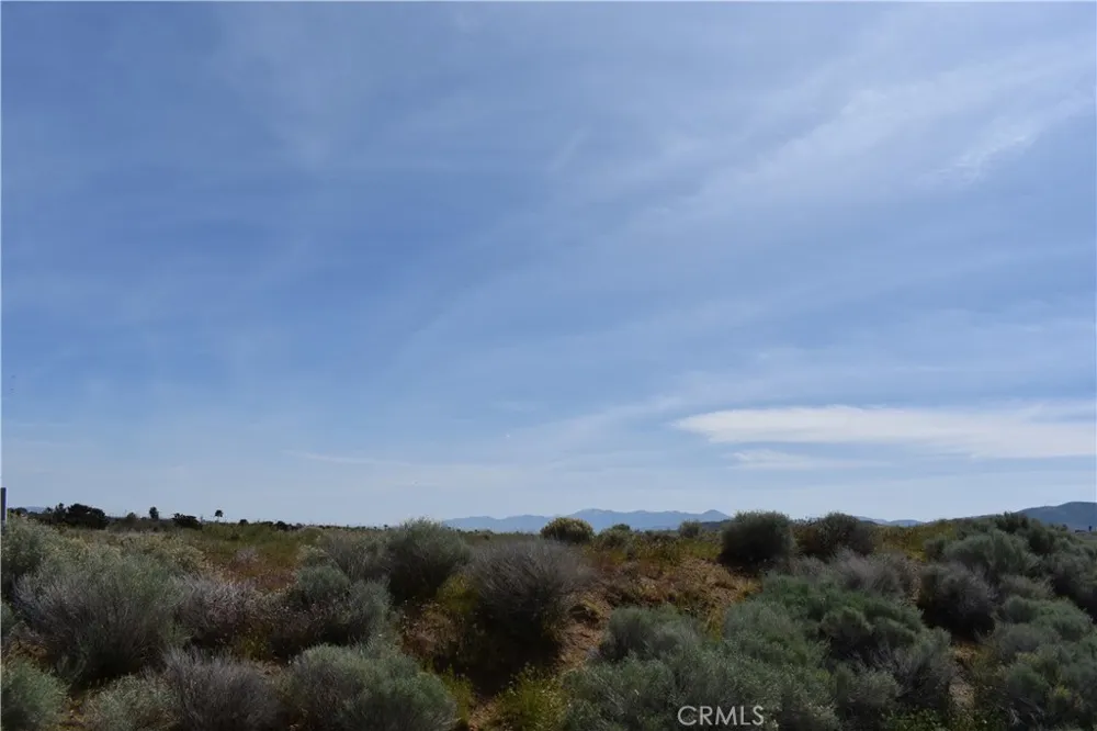 39768 Registry Palmdale, CA 93551