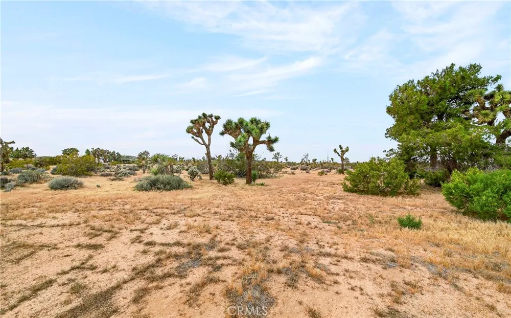 57661 Aberdeen Yucca Valley, CA 92284