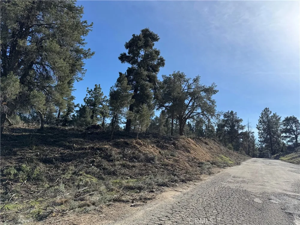 Carreta Frazier Park, CA 93225