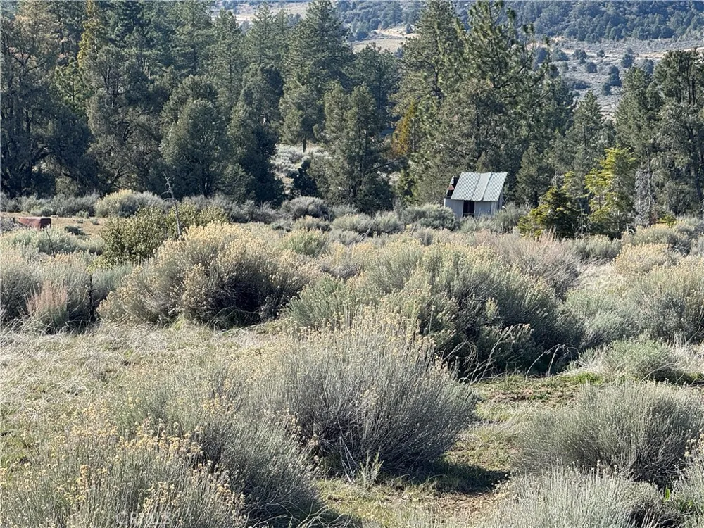 Carreta Frazier Park, CA 93225