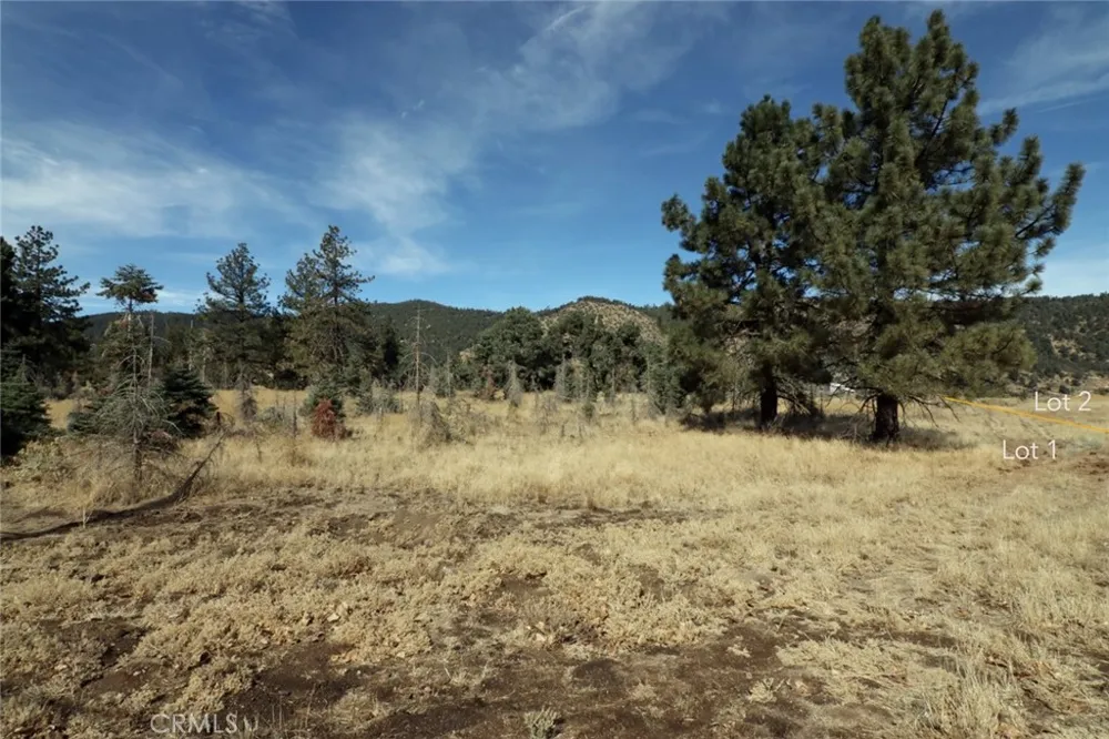 Carreta Frazier Park, CA 93225