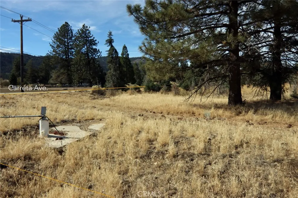 Carreta Frazier Park, CA 93225
