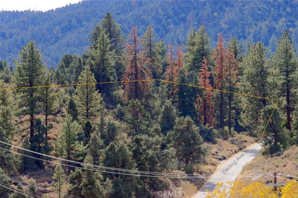 Carreta Frazier Park, CA 93225