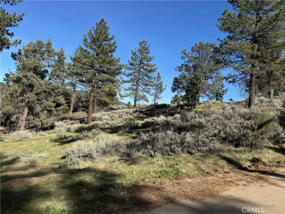 Carreta Frazier Park, CA 93225