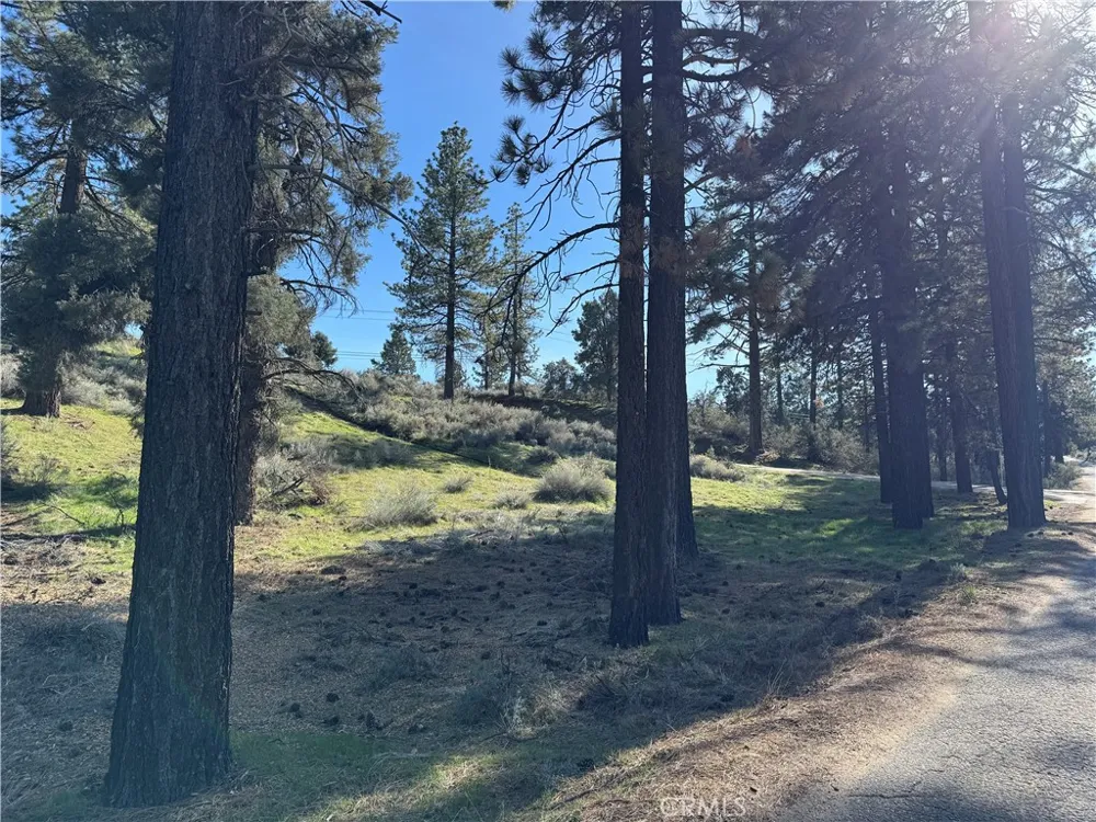 Carreta Frazier Park, CA 93225