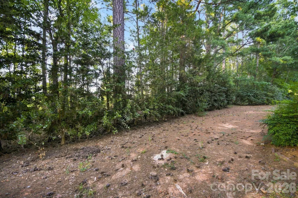 16316 Redstone Mountain Lane Charlotte, NC 28277