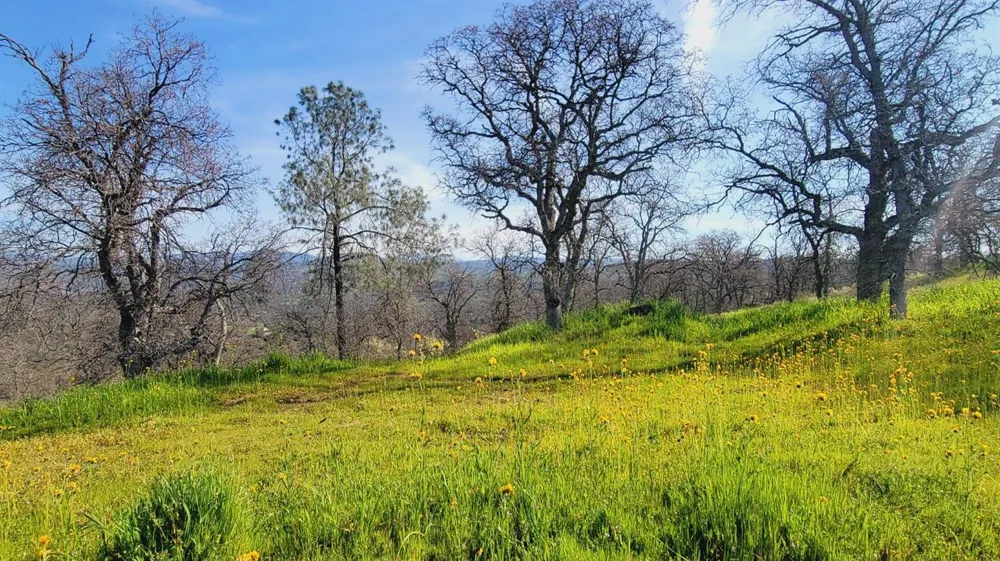 222 Big River Way Coarsegold, CA 93614
