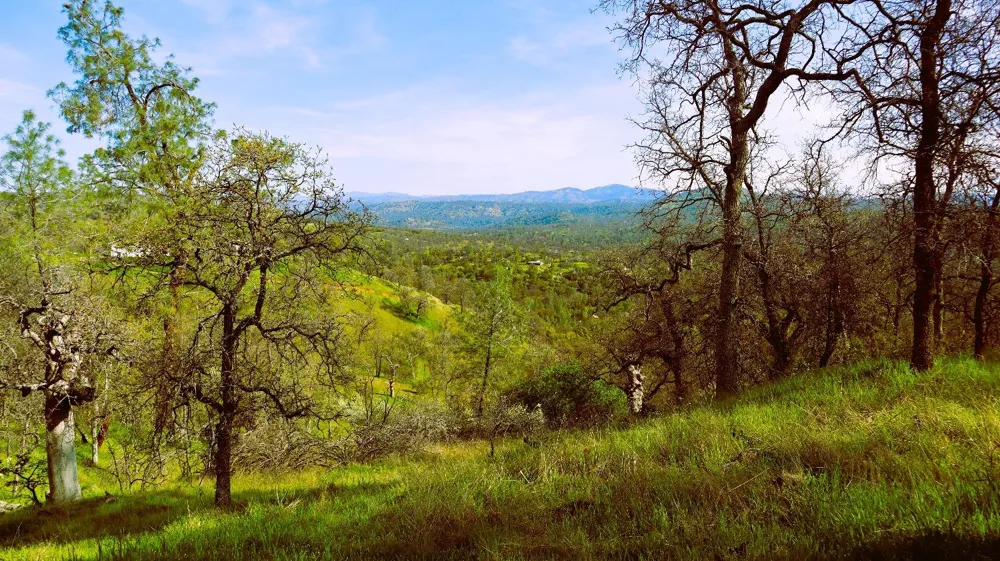 222 Big River Way Coarsegold, CA 93614