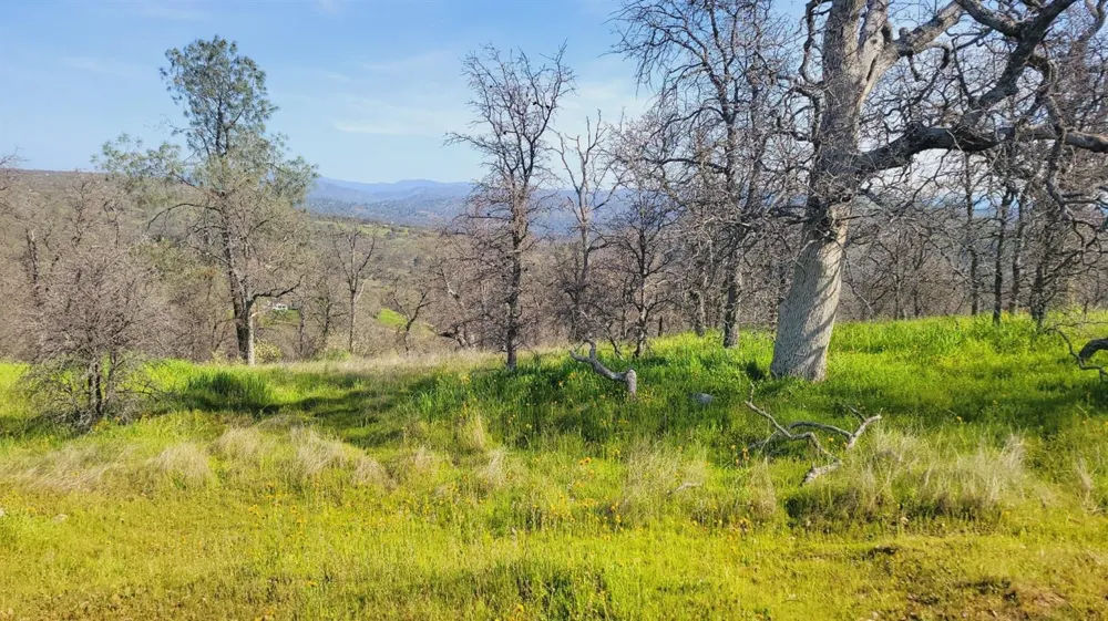 222 Big River Way Coarsegold, CA 93614