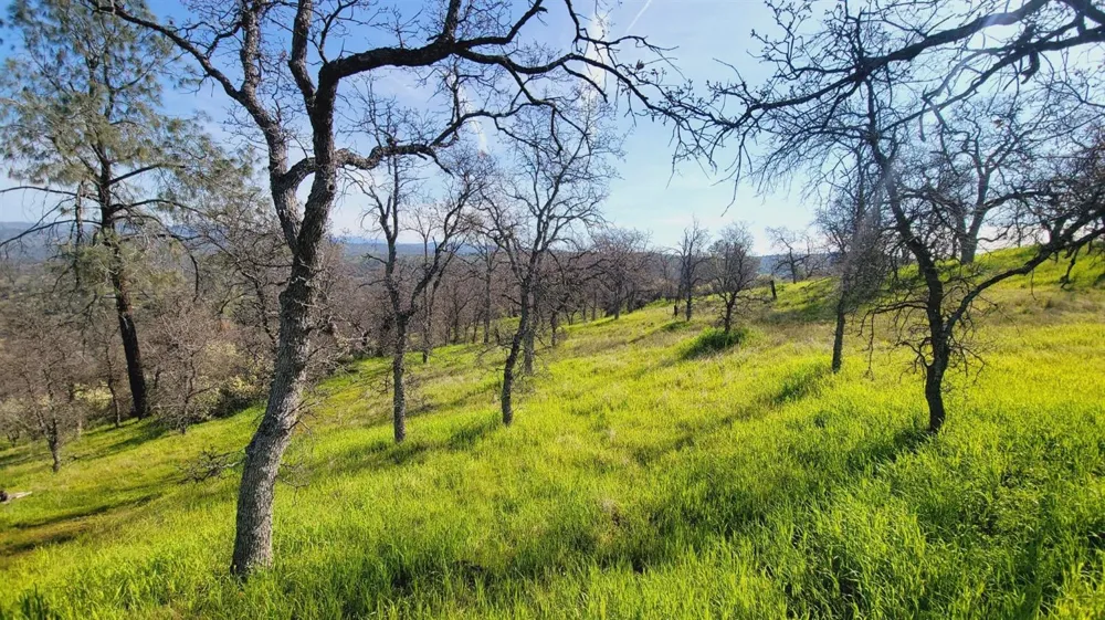 222 Big River Way Coarsegold, CA 93614