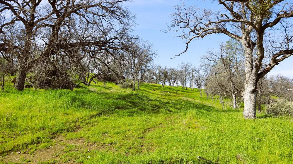 222 Big River Way Coarsegold, CA 93614