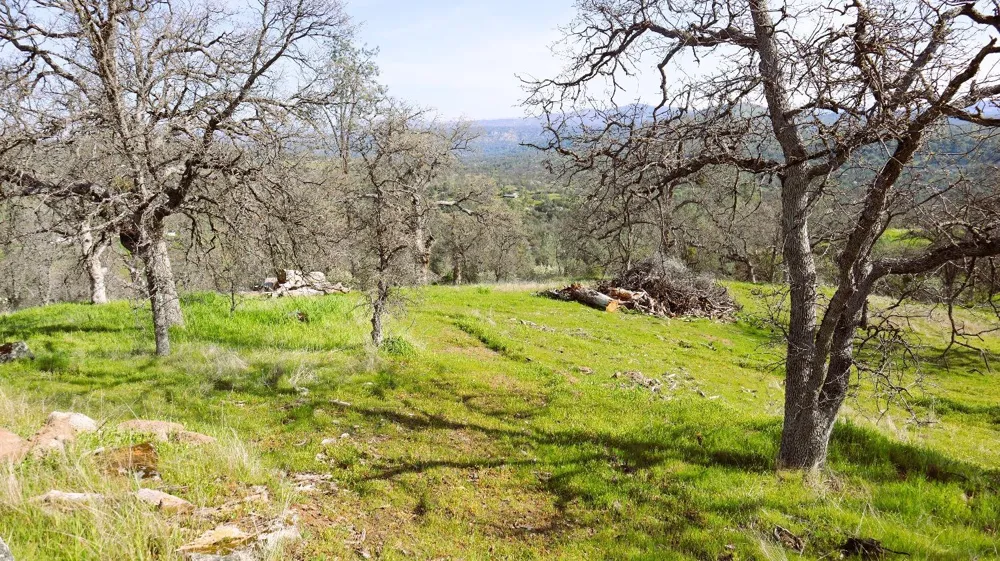 222 Big River Way Coarsegold, CA 93614
