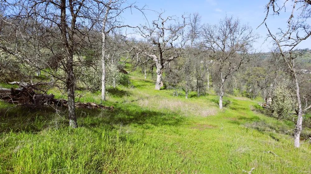 222 Big River Way Coarsegold, CA 93614