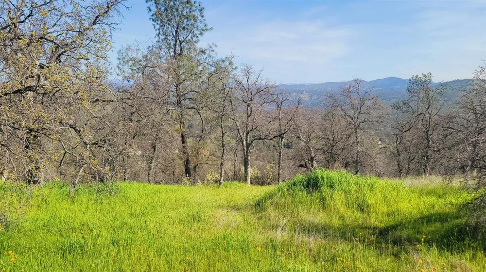 222 Big River Way Coarsegold, CA 93614