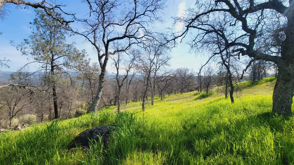 222 Big River Way Coarsegold, CA 93614
