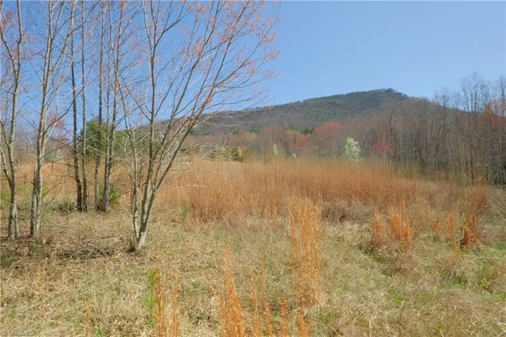 7 Old Mill Road Pinnacle, NC 27043