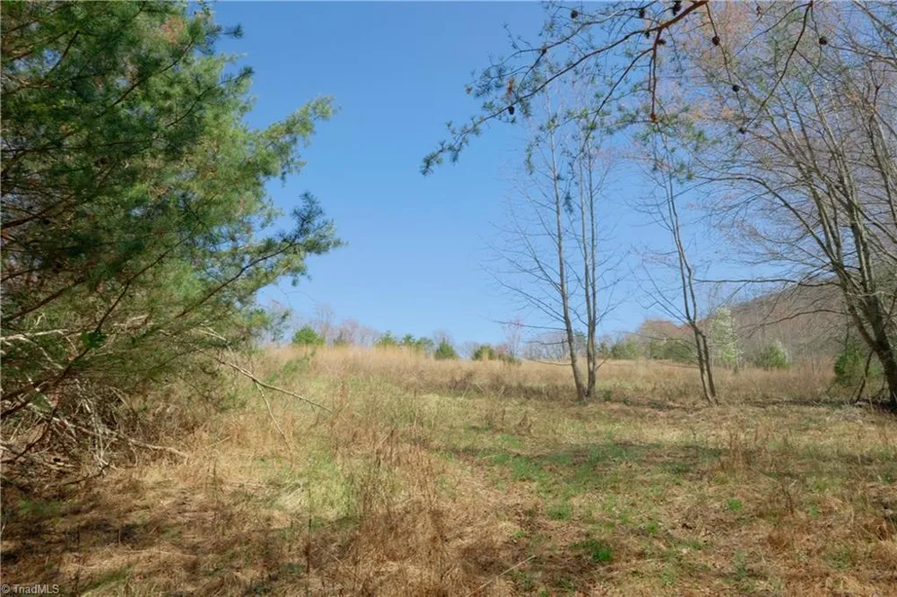 7 Old Mill Road Pinnacle, NC 27043