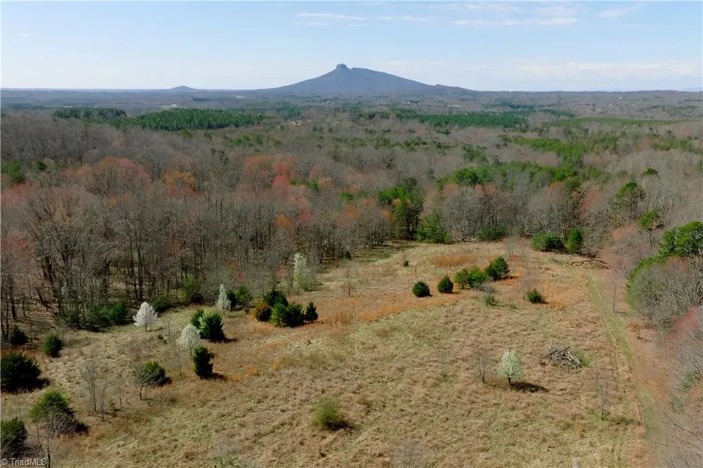 7 Old Mill Road Pinnacle, NC 27043
