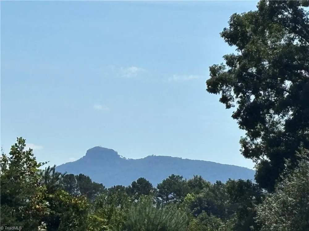 150 Springfield Road Pilot Mountain, NC 27041