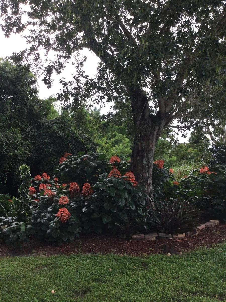 8 Santa Fe Lane Port St. Lucie, FL 34952
