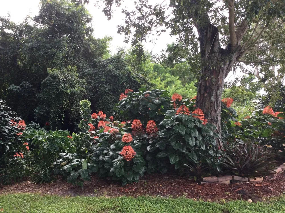 8 Santa Fe Lane Port St. Lucie, FL 34952