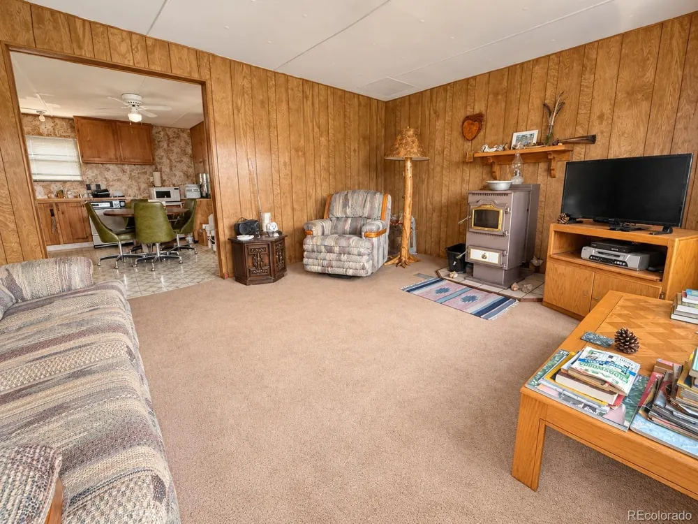3455 Bird Point Drive Cotopaxi, CO 81223