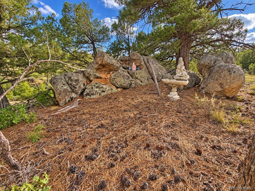 3455 Bird Point Drive Cotopaxi, CO 81223