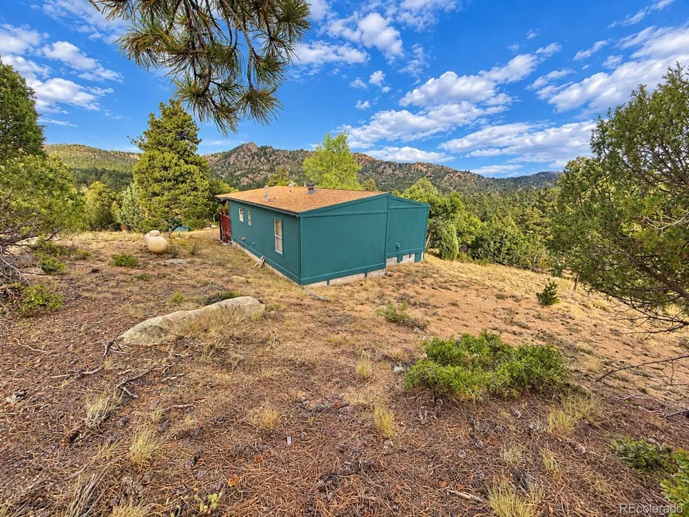 3455 Bird Point Drive Cotopaxi, CO 81223