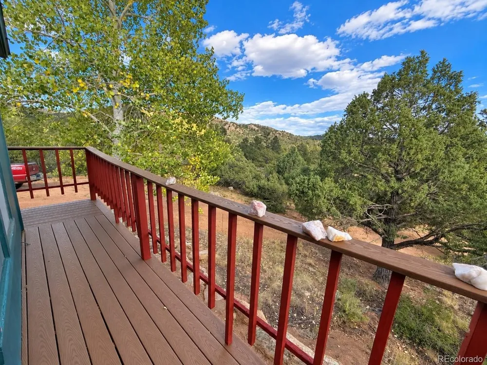 3455 Bird Point Drive Cotopaxi, CO 81223