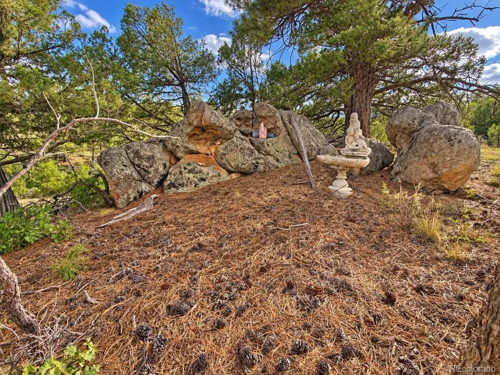 3455 Bird Point Drive Cotopaxi, CO 81223
