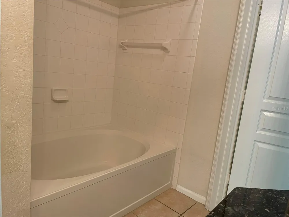 5125 PALM SPRINGS BLVD #7306 Tampa, FL 33647