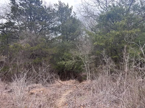 Pearson Road