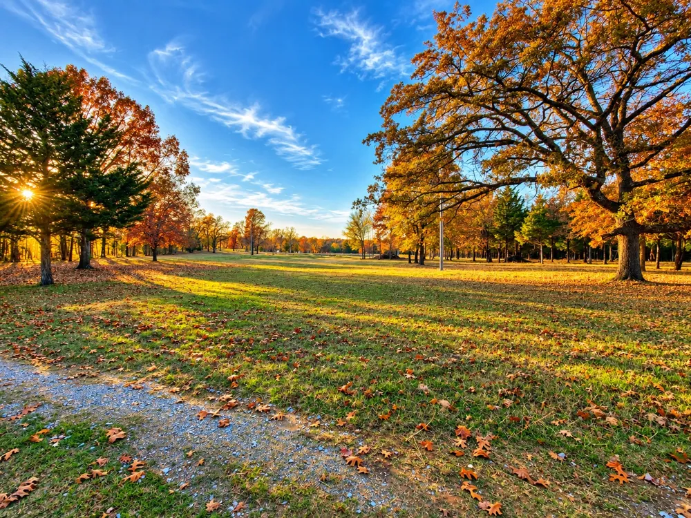 777 Caddo Hills Caddo, OK 74729