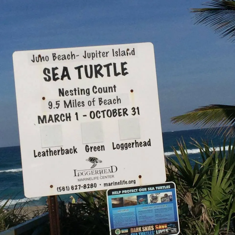 300 OCEAN TRAIL WAY #1105 Jupiter, FL 33477