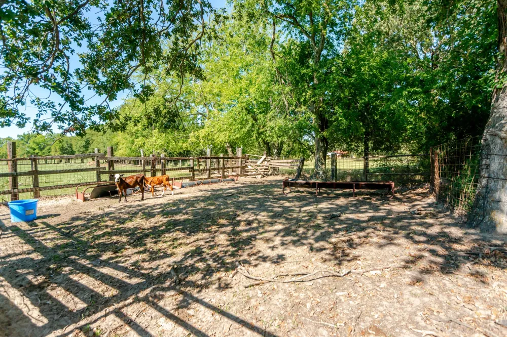 2548 Fm 857 Grand Saline, TX 75140