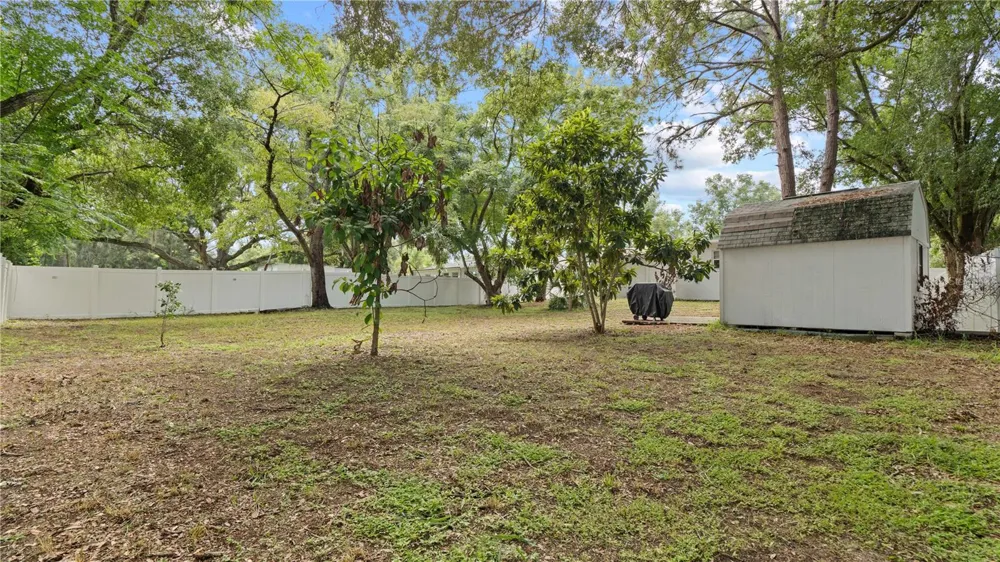1124 W DESOTO STREET Clermont, FL 34711