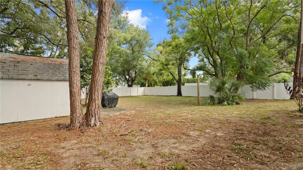 1124 W DESOTO STREET Clermont, FL 34711