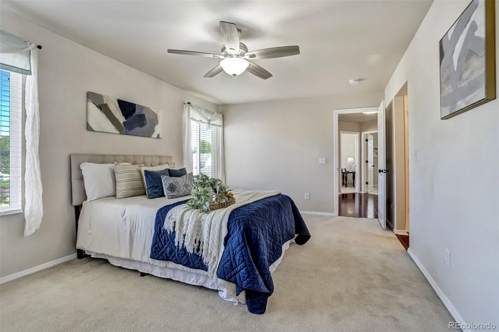 4119 Happy Jack Drive Colorado Springs, CO 80922