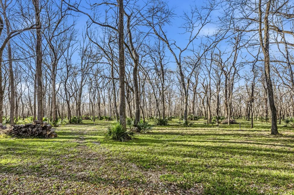 116 Natures Way Road Huntsville, TX 77340