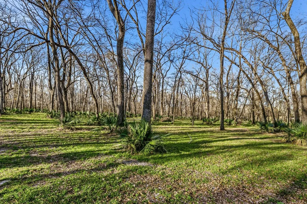 116 Natures Way Road Huntsville, TX 77340