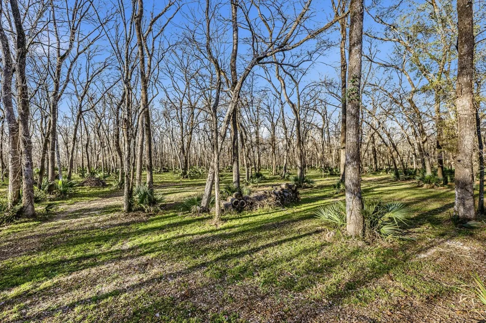 116 Natures Way Road Huntsville, TX 77340