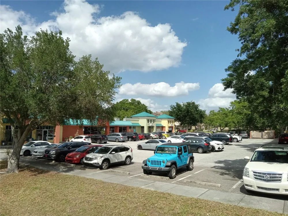 1600 ACHIEVA WAY Dunedin, FL 34698