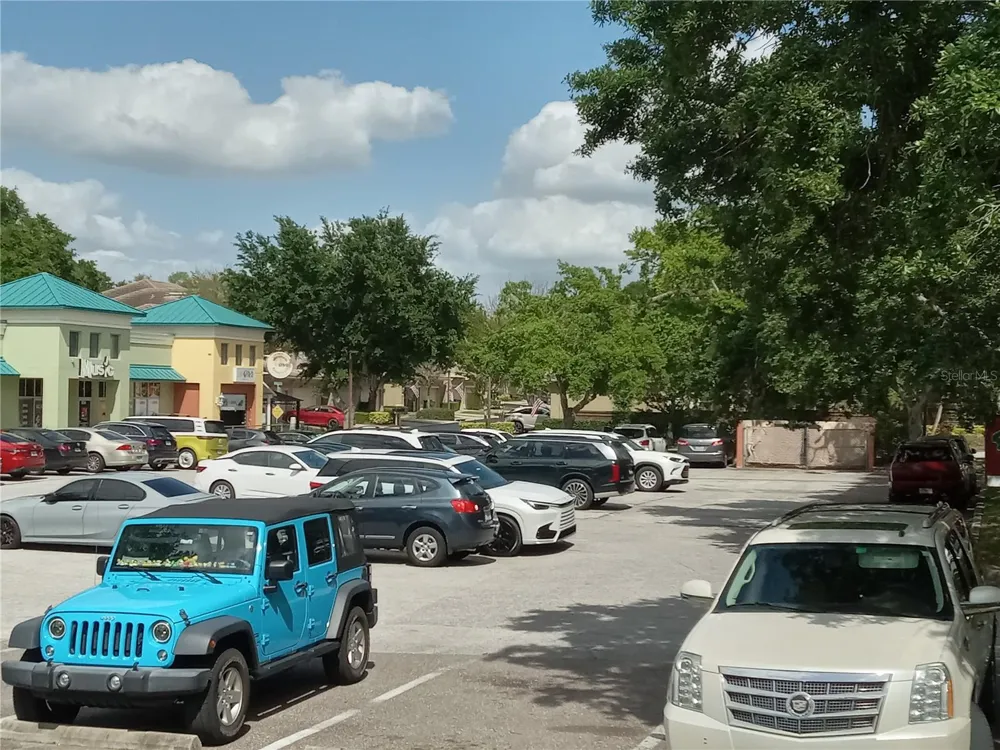 1600 ACHIEVA WAY Dunedin, FL 34698
