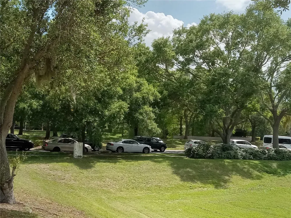 1600 ACHIEVA WAY Dunedin, FL 34698