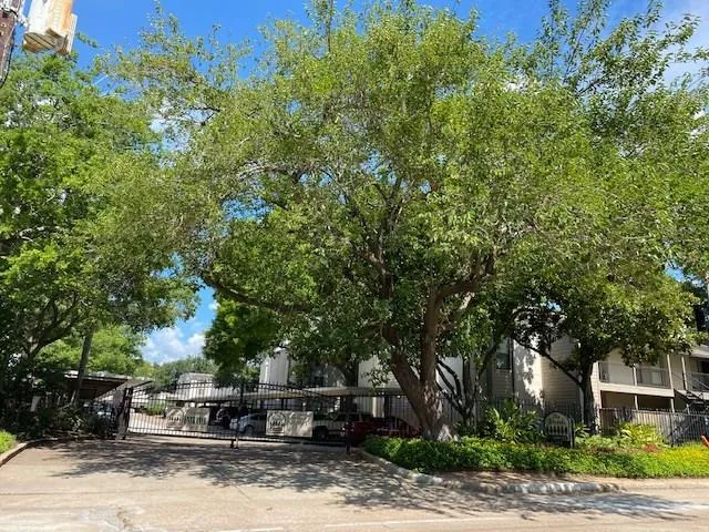 1100 Augusta Drive #46 Houston, TX 77057